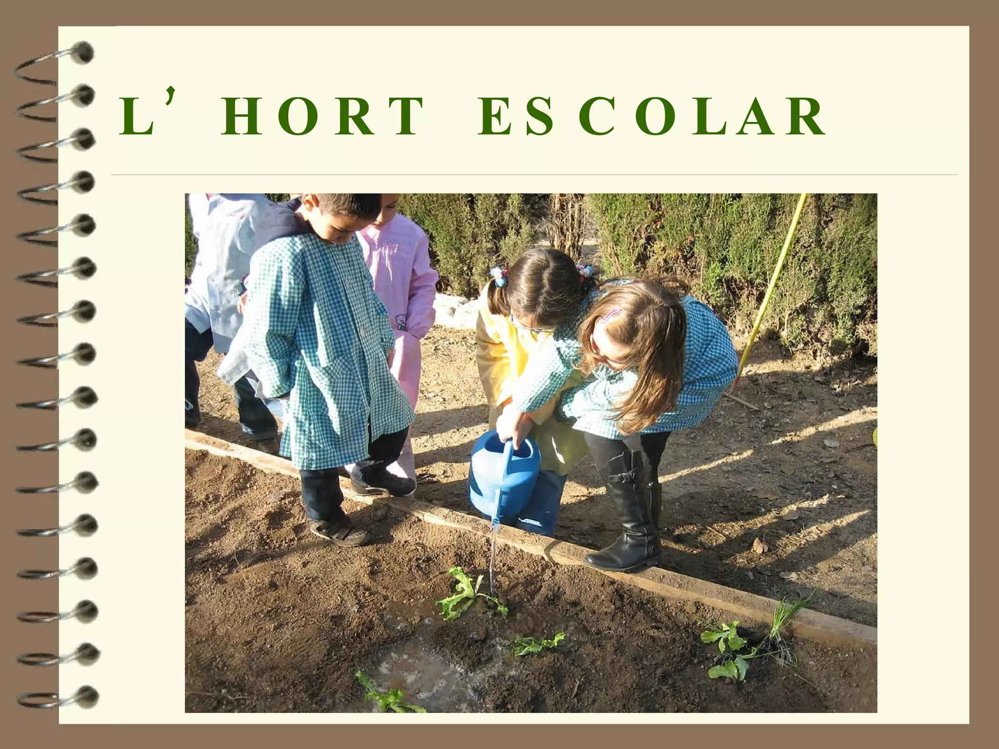 L’HORT  ESCOLAR 