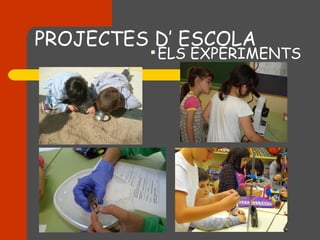 PROJECTES D’ ESCOLA
         
             ELS EXPERIMENTS
 