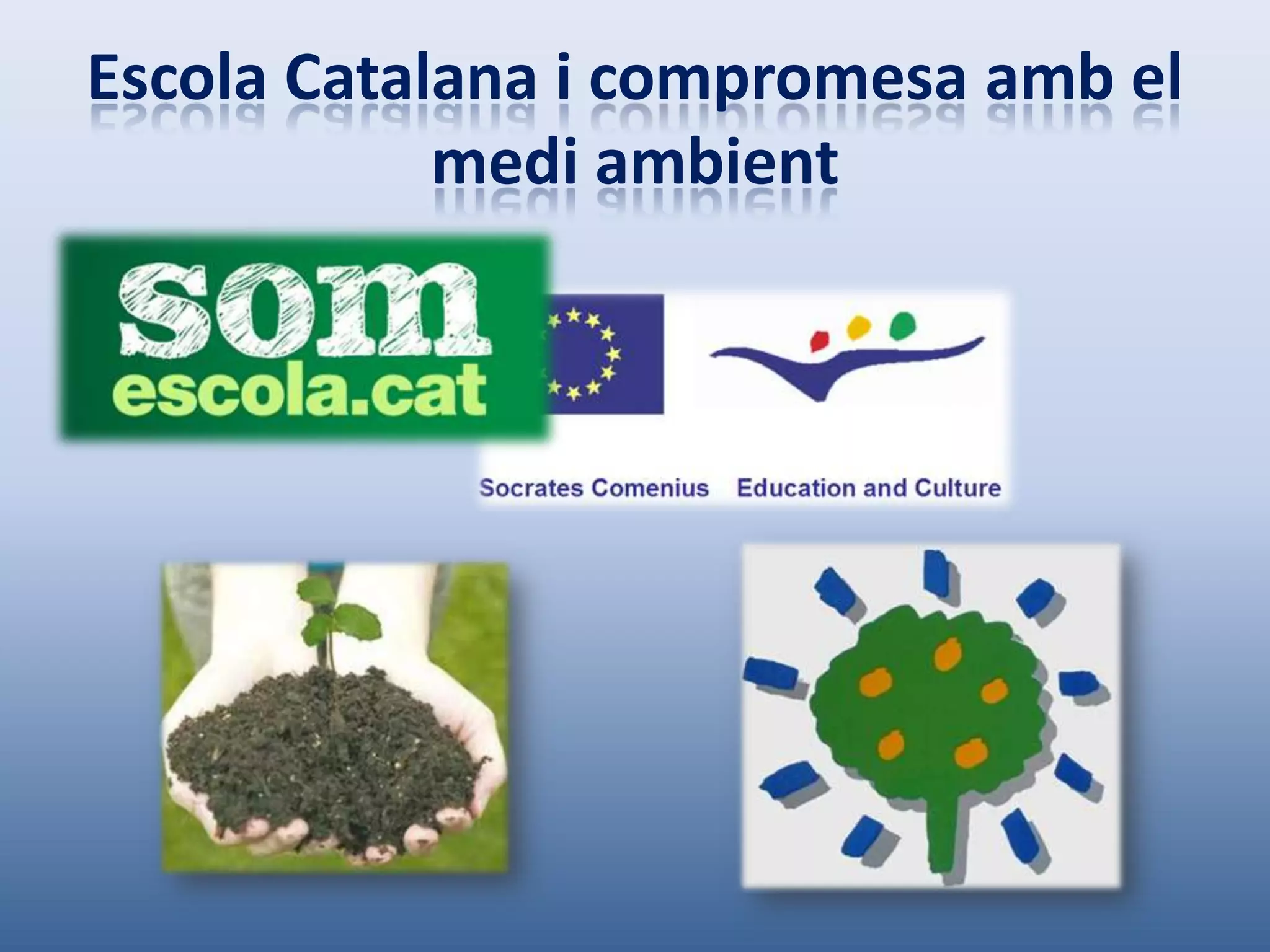 Escola Catalana i compromesa amb el
            medi ambient
 