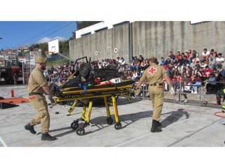 Prevençao rodoviaria