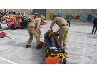 Prevençao rodoviaria