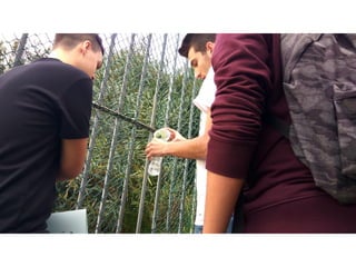 Prevençao rodoviaria