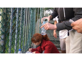 Prevençao rodoviaria