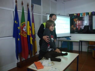 Prevençao rodoviaria