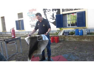 Prevençao rodoviaria