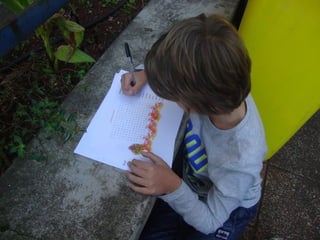 Prevençao rodoviaria