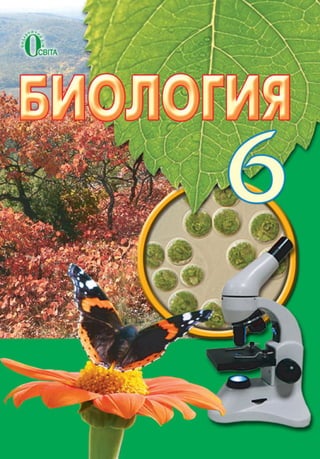 Portfel.in.ua 18 bio_6_kostikov_rus_2014