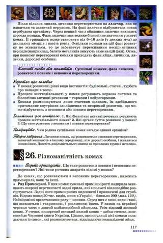 Після кількох линянь личинка перетворюється на лялечку, яка не
живиться та зазвичай нерухома. На фазі лялечки відбувається повна
перебудова організму. Через певний час з оболонки лялечки виходить
доросла комаха. Фаза лялечки має велике біологічне значення у житті
комах. Її тривалість може становити від 6-10 днів (у деяких мух) до
декількох місяців і навіть років. Оскільки комахи на цій фазі розвит­
ку не живляться, то це забезпечує переживання несприятливих
періодів (наприклад, багато метеликів зимують саме на цій фазі). Отже,
при повному перетворенні комахи проходять фази яйця, личинки, ля­
лечки, дорослої особини.
Ключовісловаtna понмн/ійя. Суспільні комахи, фаза лялечки,
розвиток з повним і неповним перетворенням.
Koftoriiieo nfio головне
я У комах розвинені різні види інстинктів: будівельні, статеві, турбота
про нащадків тощо.
■ Процеси життєдіяльності у комах регулюють нервова система та
біологічно активні речовини —гормони і нейрогормони.
■ Комахи розмножуються лише статевим шляхом, їм здебільшого
притаманне внутрішнє запліднення та непрямий розвиток, що мо­
же відбуватись з неповним або повним перетворенням.
Зани/пання для icoHfnftcufO. 1. Які біологічно активні речовини регулюють
процеси життєдіяльності комах? 2. Які органи чуттів розвинені у комах?
3. Що таке розвиток з неповним і повним перетворенням?
jLaMifiKifUlfie. Чим родина суспільних комах нагадує єдиний організм?
JJlSofineзавдання .Личинки комах, що розвиваються з повним перетворенням,
зазвичай мешкають в іншому середовищі, ніж дорослі особини, і живляться
іншою їжею. Доведітьдоцільність цього явища на прикладах хруща і метелика.
26. Різноманітність комах
■ ■ ■ - /За/ипо nfiuiagafcu . Що таке розвиток з повним і неповним пе­
ретворенням? Які типи ротових апаратів відомі у комах?
До комах, що розвиваються з неповним перетворенням, належать
прямокрилі, воші та інші.
■ Ряд Прямокрилі. У цих комах вузенькі прямі шкірясті надкрила захи­
щають широкі перетинчасті задні крила, які в польоті віялоподібно роз-
гортуються. Задні ноги прямокрилих видовжені і призначені для стриб­
ків. Відомо понад 20 тис. видів, з них в Україні - близько 200 (мал. 129).
Найвідоміші представники ряду - коники. Серед них є хижі види і такі,
що живляться і тваринною, і рослинною їжею. У самок на верхівці
черевця часто є довгий шаблеподібний яйцеклад. Усім відомий зелений
коник. У степах поширений великий хижий коник - дибка степова, зане­
сений до Червоної книги України. Цікаво, що популяції цієї комахи скла­
даються із самок, які розмножуються, відкладаючи незапліднені яйця.
117
 