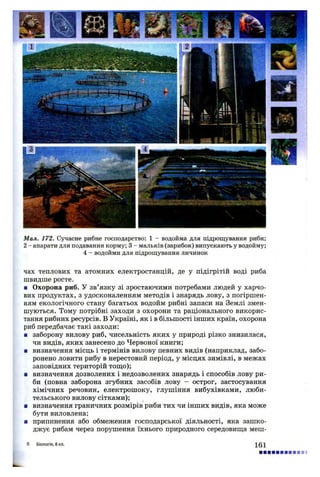 Мал. 172. Сучасне рибне господарство: 1 - водойма для підрощування риби;
2 - апарати для подавання корму; 3 - мальків (зарибок) випускають у водойму;
4 - водойми для підрощування личинок
чах теплових та атомних електростанцій, де у підігрітій воді риба
швидше росте.
а Охорона риб. У зв’язку зі зростаючими потребами людей у харчо­
вих продуктах, з удосконаленням методів і знарядь лову, з погіршен­
ням екологічного стану багатьох водойм рибні запаси на Землі змен­
шуються. Тому потрібні заходи з охорони та раціонального викорис­
тання рибних ресурсів. В Україні, як і в більшості інших країн, охорона
риб передбачає такі заходи:
■ заборону вилову риб, чисельність яких у природі різко знизилася,
чи видів, яких занесено до Червоної книги;
■ визначення місць і термінів вилову певних видів (наприклад, забо­
ронено ловити рибу в нерестовий період, у місцях зимівлі, в межах
заповідних територій тощо);
■ визначення дозволених і недозволених знарядь і способів лову ри­
би (повна заборона згубних засобів лову - острог, застосування
хімічних речовин, електрошоку, глушіння вибухівками, люби­
тельського вилову сітками);
■ визначення граничних розмірів риби тих чи інших видів, яка може
бути виловлена;
■ припинення або обмеження господарської діяльності, яка зашко­
джує рибам через порушення їхнього природного середовища меш-
6 Біологія, 8 кл. і б і
 