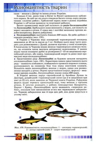 J L , , *
сазан - мешкає у Дніпрі та інших річках України.
Близько 3 тис. років тому в Китаї та Японії одомашнили срібляс­
того карася. За цей час від нього створили багато сотень порід декора­
тивних «золотих рибок». Сріблястий карась живе в різних водоймах
України і є об’єктом промислу та спортивної рибалки.
Багато промислових видів риб належать до рядів Оселедцеподібні
та Лососеподібні. Здебільшого вони мешкають у морях, але можуть на
нерест заходити в річки. Є серед них і постійні мешканці прісних во­
дойм (наприклад, форель райдужна).
■ Оселедцеподібних налічують близько 300 видів. Це риби дрібних і
середніх розмірів ( мал. 179 ).
В Україні в Чорному морі поширений чорноморський оселедець
завдовжки до 40 см та масою до 1 кг. Особини цього виду часто захо­
дять для розмноження у Дунай, долаючи відстань у сотні кілометрів.
В Азовському та Чорному морях мешкає чорноморсько-азовська тюль­
ка, що останнім часом заселила дніпровські водосховища. У наших
морях також поширені дрібні за розмірами (7-13 см завдовжки) євро­
пейський анчоус, або хамса, чорноморський шпрот та деякі інші про­
мислові види оселедцеподібних.
■ Представники ряду Лососеподібні за будовою загалом нагадують
оселедцеподібних (мал. 180). Характерна ознака представників цього
ряду - наявність особливого, позбавленого променів жирового плавця,
розташованого на спинному боці тіла перед хвостовим плавцем.
Більшість видів лососеподібних мешкає у морях, однак для розмно­
ження заходить у річки. Окремі представники (харіус, форель) - меш­
канці прісних водойм. Лососеподібних відомо понад 200 видів.
В Україні мешкає харіус європейський (у басейнах Дунаю та
Дністра), дунайський і чорноморський лососі (до 2 м завдовжки при
масі до 25 кг), яких занесено до Червоної книги України. Райдужна
форель віддає перевагу прохолодній воді, тому мешкає у гірських
річках. Її штучно розводять у рибних господарствах Закарпаття,
Карпат і Криму. Лососеподібних часто називають «червоною ри­
бою», оскільки їхнє високоякісне м’ясо має червонувате забарвлен­
ня. Червоне забарвлення має й ікра цих риб, яка дуже цінується в
усьому світі.
ИИїРізноманітність тварин
Мал. 179. Різноманітність оселедцеподібних: 1 - оселедець чорноморський;
2 - анчоус європейський; 3 - шпрот чорноморський
тшшштшшш
 