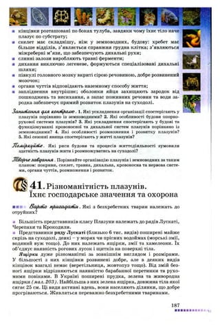 ■ кінцівки розташовані по боках тулуба, завдяки чому їхнє тіло наче
плазує по субстрату;
■ скелет має складнішу, ніж у земноводних, будову: хребет має
більше відділів, з’являється справжня грудна клітка; з’являються
міжреберні м’язи, що забезпечують дихальні рухи;
■ слинні залози виробляють травні ферменти;
■ дихання виключно легеневе, формуються спеціалізовані дихальні
шляхи;
я півкулі головного мозку вкриті сірою речовиною, добре розвинений
мозочок;
■ органи чуттів відповідають наземному способу життя;
ш запліднення внутрішнє; оболонки яйця захищають зародок від
пошкоджень та висихання, а запас поживних речовин та води за­
родка забезпечує прямий розвиток плазунів на суходолі.
Запи&аннл с/ил tcomiifiOMO. 1. Які ускладнення організації спостерігають у
плазунів порівняно із земноводними? 2. Які особливості будови опорно-
рухової системи плазунів? 3. Які ускладнення спостерігають у будові та
функціонуванні кровоносної та дихальної систем плазунів порівняно із
земноводними? 4. Які особливості розмноження і розвитку плазунів?
5. Які сезонні явища спостерігають у житті плазунів?
Ломі/псі/йіііе. Які риси будови та процесів життєдіяльності зумовили
здатність плазунів жити і розмножуватись на суходолі?
Л івоfine завдання . Порівняйте організацію плазунів і земноводних за таким
планом: покриви, скелет, травна, дихальна, кровоносна та нервова систе­
ми, органи чуттів, розмноження і розвиток.
41. Різноманітність плазунів,
їхнє господарське значення та охорона
■ ■■ > ftafu n o nfiuzaqaniu . Які з безхребетних тварин належать до
отруйних?
я Більшість представників класу Плазуни належать до рядів Лускаті,
Черепахи та Крокодили.
я Представники ряду Лускаті (близько 6 тис. видів) поширені майже
скрізь на суходолі, деякі - у морях чи прісних водоймах (морські змії,
водяний вуж тощо). До них належать ящірки, змії та хамелеони. їх
об’єднує наявність рогових лусок і щитків на поверхні тіла.
Ящірки дуже різноманітні за зовнішнім виглядом і розмірами.
У більшості з них кінцівки розвинені добре, але в деяких видів
кінцівок взагалі немає (веретільниця, жовтопуз тощо). Від змій без­
ногі ящірки відрізняються наявністю барабанної перетинки та рухо­
мими повіками. В Україні поширені прудка, зелена та живородна
ящірки ( мал. 203). Найбільша з них зелена ящірка, довжина тіла якої
сягає 25 см. Ці види активні вдень, вони населяють ділянки, що добре
прогріваються. Живляться переважно безхребетними тваринами.
187
 