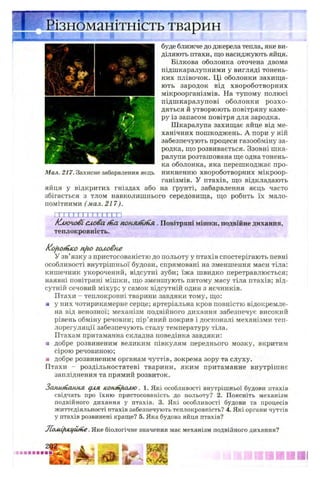 'ізноманітність тварин
Мал. 217. Захисне забарвлення яєць
яйця у відкритих гніздах або
збігається з тлом навколишнього
помітними (мал. 217).
буде ближче до джерела тепла, яке ви­
діляють птахи, що насиджують яйця.
Білкова оболонка оточена двома
підшкаралупними у вигляді тонень­
ких плівочок. Ці оболонки захища­
ють зародок від хвороботворних
мікроорганізмів. На тупому полюсі
підшкаралупові оболонки розхо­
дяться й утворюють повітряну каме­
ру із запасом повітря для зародка.
Шкаралупа захищає яйце від ме­
ханічних пошкоджень. А пори у ній
забезпечують процеси газообміну за­
родка, що розвивається. Ззовні шка­
ралупи розташована ще одна тонень­
ка оболонка, яка перешкоджає про­
никненню хвороботворних мікроор­
ганізмів. У птахів, що відкладають
на ґрунті, забарвлення яєць часто
середовища, що робить їх мало-
гтттттттттттп п
Ключовіслова і&анонмпіпл. Повітряні мішки, подвійне дихання,
теплокровність.
Kofiotntco п/го головне
У зв’язку з пристосованістю до польоту у птахів спостерігають певні
особливості внутрішньої будови, спрямовані на зменшення маси тіла:
кишечник укорочений, відсутні зуби; їжа швидко перетравлюється;
наявні повітряні мішки, що зменшують питому масу тіла птахів; від­
сутній сечовий міхур; у самок відсутній один з яєчників.
Птахи - теплокровні тварини завдяки тому, що:
я у них чотирикамерне серце; артеріальна кров повністю відокремле­
на від венозної; механізм подвійного дихання забезпечує високий
рівень обміну речовин; пір’яний покрив і досконалі механізми теп­
лорегуляції забезпечують сталу температуру тіла.
Птахам притаманна складна поведінка завдяки:
■ добре розвиненим великим півкулям переднього мозку, вкритим
сірою речовиною;
■ добре розвиненим органам чуттів, зокрема зору та слуху.
Птахи - роздільностатеві тварини, яким притаманне внутрішнє
запліднення та прямий розвиток.
Запитання для ісоніп/голк). 1. Які особливості внутрішньої будови птахів
свідчать про їхню пристосованість до польоту? 2. Поясніть механізм
подвійного дихання у птахів. 3. Які особливості будови та процесів
життєдіяльності птахів забезпечують теплокровність? 4. Які органи чуттів
у птахів розвинені краще? 5. Яка будова яйця птахів?
Лоліі/ікі/йпіе. Яке біологічне значення має механізм подвійного дихання?
 