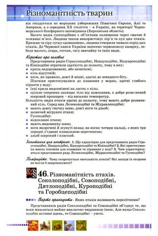 він гніздується по морських узбережжях Північної Європи, Азії та
Америки, а з середини X X століття - в Україні, на території Чорно­
морського біосферного заповідника (Херсонська область).
Багато видів гусеподібних є об’єктами полювання через смачне й
поживне м’ясо. Людина також використовує пір’я та пух цих птахів.
Крижня та сіру гуску одомашнено, людина створила чимало порід цих
птахів. До Червоної книги України занесено червоноволу казарку, ле­
бедя малого, огара, гоголя, гагу звичайну та інші види.
KofiOfHKO nfio головне
Представники рядів Страусоподібні, Нандуподібні, Казуароподібні
та Ківіподібні втратили здатність до польоту, тому в них:
■ крила недорозвинені, або зачаткові;
■ кіль відсутній;
■ ноги, як правило, довгі й міцні, здатні до швидкого бігу.
Пінгвіни пристосувалися до плавання у морях, здатні глибоко
пірнати у воду:
■ їхні крила видозмінені на ласти; є кіль;
■ щільне оперення захищає тіло від намокання, а добре розвинений
жировий прошарок - від низьких температур.
Більшість видів птахів здатні до польоту, тому мають добре розвине­
ний кіль. Серед них Лелекоподібні та Журавлеподібні:
■ мають довгу гнучку шию, довгі ноги та дзьоб;
■ зазвичай мігруючі птахи;
Гусеподібні:
а водоплавні птахи;
■ мають видовжену шию;
■ ноги вкорочені й зсунуті назад; на ногах чотири пальці, з яких три
передні з’єднані плавальною перетинкою;
а дзьоб широкий і плаский.
ЗапиіііаннА qA& конЖ/ЮЛЮ. 1. Що характерно для представників рядів Стра­
усоподібні, Нандуподібні, Казуароподібні та Ківіподібні? 2. Які пристосуван­
ня мають пінгвіни для плавання та пірнання у воді? 3. Чим характеризу­
ються представники ряду Лелекоподібні, Журавлеподібні та Гусеподібні?
JIoAiihKifiofie. Чому скорочується чисельність птахів? Які заходи їх охорони
ви могли б запропонувати?
46. Різноманітність птахів.
Соколоподібні, Совоподібні,
Дятлоподібні, Куроподібні
та Горобцеподібні
■ ■■к t3ajtriio nfiuzat/atnu . Яких птахів називають перелітними?
Представників рядів Соколоподібні та Совоподібні об’єднує те, що
вони живляться майже виключно тваринною їжею. Але якщо Соколо­
подібні активні вдень, то Совоподібні - уночі.
Ш * « , ■ .................
Різноманітність тварин
 