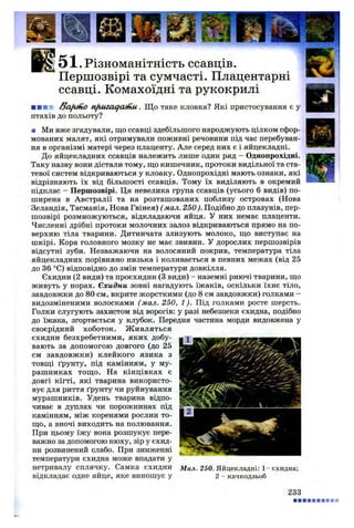 51. Різноманітність ссавців.
Першозвірі та сумчасті. Плацентарні
ссавці. Комахоїдні та рукокрилі
■ ■ ■ r Bafitno nfiuzaqatnu.. Щ о таке клоака? Які пристосування є у
птахів до польоту?
■ Ми вже згадували, що ссавці здебільшого народжують цілком сфор­
мованих малят, які отримували поживні речовини під час перебуван­
ня в організмі матері через плаценту. Але серед них є і яйцекладні.
До яйцекладних ссавців належить лише один ряд - Однопрохідні.
Таку назву вони дістали тому, що кишечник, протоки видільної та ста­
тевої систем відкриваються у клоаку. Однопрохідні мають ознаки, які
відрізняють їх від більшості ссавців. Тому їх виділяють в окремий
підклас - Першозвірі. Ця невелика група ссавців (усього 6 видів) по­
ширена в Австралії та на розташованих поблизу островах (Нова
Зеландія, Тасманія, Нова Гвінея) ( мал. 250). Подібно до плазунів, пер­
шозвірі розмножуються, відкладаючи яйця. У них немає плаценти.
Численні дрібні протоки молочних залоз відкриваються прямо на по­
верхню тіла тварини. Дитинчата злизують молоко, що виступає на
шкірі. Кора головного мозку не має звивин. У дорослих першозвірів
відсутні зуби. Незважаючи на волосяний покрив, температура тіла
яйцекладних порівняно низька і коливається в певних межах (від 25
до 36 °С) відповідно до змін температури довкілля.
Єхидни (2 види) та проєхидни (3 види) - наземні риючі тварини, що
живуть у норах. Єхидни зовні нагадують їжаків, оскільки їхнє тіло,
завдовжки до 80 см, вкрите жорсткими (до 8 см завдовжки) голками -
видозміненими волосками (мал. 250, 1). Під голками росте шерсть.
Голки слугують захистом від ворогів: у разі небезпеки єхидна, подібно
до їжака, згортається у клубок. Передня частина морди видовжена у
своєрідний хоботок. Ж ивляться
єхидни безхребетними, яких добу­
вають за допомогою довгого (до 25
см завдовжки) клейкого язика з
товщі ґрунту, під камінням, у му­
рашниках тощ о. На кінцівках є
довгі кігті, які тварина використо­
вує для риття ґрунту чи руйнування
мурашників. Удень тварина відпо­
чиває в дуплах чи порожнинах під
камінням, між коренями рослин то­
що, а вночі виходить на полювання.
При цьому їжу вона розшукує пере­
важно за допомогою нюху, зір у єхид­
ни розвинений слабо. При зниженні
температури єхидна може впадати у
нетривалу сплячку. Самка єхидни Мал. 250. Яйцекладні: 1- єхидна;
відкладає одне яйце, яке виношує у 2 - качкодзьоб
233
 