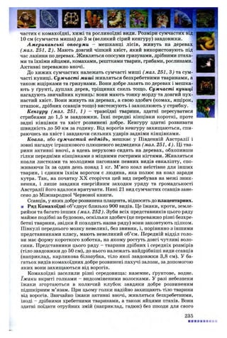 частих є комахоїдні, хижі та рослиноїдні види. Розміри сумчастих від
10 см (сумчаста миша) до 3 м (великий сірий кенгуру) завдовжки.
Американські опосуми - мешканці лісів, живуть на деревах
(мал. 251, 2 ). Мають довгий чіпкий хвіст, який використовують під
час лазіння по деревах. Живляться опосуми гризунами, дрібними птаха­
ми та їхніми яйцями, комахами, рештками тварин, грибами, рослинами.
Активні переважно вночі.
До хижих сумчастих належать сумчасті миші (мал. 251, 3) та сум­
часті куниці. Сумчасті миші живляться безхребетними тваринами, а
також ящірками та гризунами. Вони добре лазять по деревах і мешка­
ють у ґрунті, дуплах дерев, тріщинах скель тощо. Сумчасті куниці
нагадують звичайних куниць: вони мають тонку морду та довгий пух­
настий хвіст. Вони живуть на деревах, а свою здобич (комах, ящірок,
пташок, дрібних ссавців тощо) вистежують і захоплюють у стрибку.
Кенгуру (мал. 251, 1) - травоїдні тварини, здатні пересуватися
стрибками до 1,5 м завдовжки. їхні передні кінцівки короткі, проте
задні кінцівки та хвіст розвинені добре. Кенгуру здатні розвивати
швидкість до 50 км за годину. Від ворогів кенгуру захищаються, спи­
раючись на хвіст і завдаючи сильних ударів задніми кінцівками.
Коала, або сумчастий ведмідь, мешкає у Південній Австралії і
зовні нагадує іграшкового плюшевого ведмедика ( мал. 251, 4 ). Ці тва­
рини активні вночі, а вдень нерухомо сидять на деревах, обхопивши
гілки передніми кінцівками з міцними гострими кігтями. Живляться
коали листками та молодими пагонами певних видів евкаліпту, спо­
живаючи їх за один день понад 1 кг. М’ясо коал неїстівне для інших
тварин, і єдиним їхнім ворогом є людина, яка полює на коал заради
хутра. Так, на початку X X сторіччя цей вид перебував на межі зник­
нення, і лише завдяки енергійним заходам уряду та громадськості
Австралії його вдалося врятувати. Нині 21 вид сумчастих ссавців зане­
сено до Міжнародної Червоної книги.
Ссавців, у яких добре розвинена плацента, відносять до плацентарних.
■ Ряд Комахоїдні об’єднує близько 900 видів. Це їжаки, кроти, земле­
рийки та багато інших (мал. 252). Зуби всіх представників цього ряду
майже подібні за будовою, оскільки здобич (це переважно різні безхре­
бетні тварини, звідки й походить назва ряду) вони заковтують цілком.
Півкулі переднього мозку невеликі, без звивин, і, порівняно з іншими
представниками класу, мають невеликий об’єм. Передній відділ голо­
ви має форму короткого хоботка, на якому ростуть довгі чутливі воло­
сини. Представники цього ряду - тварини дрібних і середніх розмірів
(тіло завдовжки до 50 см), до нього належать найдрібніші види ссавців
(наприклад, карликова білозубка, тіло якої завдовжки 3,8 см). У ба­
гатьох видів комахоїдних добре розвинені пахучі залози, за допомогою
яких вони захищаються від ворогів.
Комахоїдні заселили різні середовища: наземне, ґрунтове, водне.
їжаки вкриті голками - видозміненими волосками. У разі небезпеки
їжаки згортаються в колючий клубок завдяки добре розвиненим
підшкірним м’язам. При цьому голки надійно захищають тіло тварини
від ворогів. Звичайно їжаки активні вночі, живляться безхребетними,
іноді - дрібними хребетними тваринами, а також яйцями птахів. Вони
здатні поїдати отруйних змій (наприклад, гадюк) без шкоди для свого
235
 
