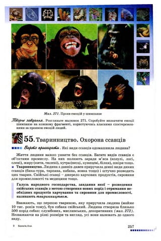 Мал. 271. Прояв емоцій у шимпанзе
Ліво/гче завдання. Розгляньте малюнок 271. Спробуйте визначити емоції
шимпанзе на кожному фрагменті, користуючись власними спостережен­
нями за проявом емоцій людей.
5 5 .Тваринництво. Охорона ссавців
■ ■ ■ в fia fa iio nfiuiaejcunu. Які види ссавців одомашнила людина?
Життя людини важко уявити без ссавців. Багато видів ссавців є
об’єктами промислу. На них полюють заради м’яса (козулі, лосі,
олені), жиру (кити, тюлені), хутра (песці, куницеві, білки), шкіри тощо.
■ Тваринництво. Людина з давніх-давен приручила деякі види диких
ссавців (бика-тура, тарпана, кабана, вовка тощо) і штучно розводить
цих тварин. Свійські ссавці - джерело харчових продуктів, сировини
для промисловості та медицини тощо.
Галузь народного господарства, завдання якої — розведення
свійських ссавців з метою створення нових порід і отримання не­
обхідних продуктів харчування та сировини для промисловості,
називають тваринництвом.
Вважають, що першою твариною, яку приручила людина (майже
10 тис. років тому), був собака свійський. Людина створила близько
500 порід собак: службових, мисливських, декоративних (мал. 272).
Незважаючи на різні розміри та вигляд, усі вони належать до одного
виду.
9 біологія, 8 кл. 257
 