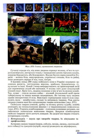 Мал. 273. Ссавці, одомашнені людиною
Сучасні породи кіз, від яких людина отримує молоко, м’ясо та хут­
ро (кашмірська, ангорська тощо), є нащадками диких гірських козлів,
зокрема бородатого, або безоарового. Відомо багато порід свиней (в Ук­
раїні - велика біла, миргородська, українські степова, біла та ряба),
яких розводять заради м ’яса, сала, шкіри.
З відомих понад 200 порід свійського коня в Україні поширені: ор­
ловська рисиста, чистокровна верхова, арабська, будьонівська, гу­
цульська та інші. Коней і тепер використовують як транспортний засіб
для перевезення людей або вантажів. У всьому світі дуже популярний
кінний спорт. Крім того, людина споживає в їжу м’ясо та молоко коней.
Так, кумис —скисле молоко кобил —відомий лікувальний засіб проти
туберкульозу та інших важких захворювань. Як тяглову силу людина
здавна використовує й осла. Внаслідок схрещування коня й осла одер­
жують мула - невибагливу, сильну та витривалу тварину. Тож життя
людини уявити нині без одомашнених тварин неможливо (мал. 273).
Свійських тварин (свиней, дрібну та велику рогату худобу, коней)
розводять на спеціалізованих фермах і в тваринницьких комплексах
( мал. 274). Годують комбікормами - сумішшю поживних речовин, що
забезпечує повноцінне живлення тварин. Завдяки комбікормам
свійські тварини часто ростуть швидше. За здоров’ям тварин стежить
ветеринарна служба.
Ветеринарія — наука про хвороби тварин, їх лікування та
профілактику.
Хутрових хижих тварин (норок, соболів, песців, лисиць, єнотоподіб­
ного собаку) та гризунів (нутрій, ондатр) розводять на звірофермах.
259
 