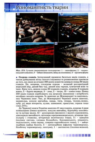 I l l — I---------- 1------------ 1 —
Різноманітність тварин
Мал. 274. Сучасне тваринницьке господарство: 1 - свиноферма; 2 - тварин­
ницький комплекс; 3 - чабани випасають овець на полонинах; 4 - кроляча ферма
■ Охорона ссавців. Інтенсивний промисел багатьох видів ссавців, а
також руйнування місць їхнього існування та розмноження призвели
до того, що лише за останні 300 років повністю вимерло понад 60 видів
ссавців. Це, зокрема, стелерова корова - великий рослиноїдний
морський звір, дикий бик тур, дикий кінь тарпан, сумчастий вовк та
інші. Крім того, зникло понад 60 підвидів ссавців, зокрема 9 підвидів
вовка, 5 - бурого ведмедя, 3 - лева, 2 - тигра, 10 - оленя тощо. Понад
350 видів ссавців перебувають під загрозою зникнення і потребують
негайних заходів охорони. їх занесено до Міжнародної та національ­
них Червоних книг. Так, до Міжнародної Червоної книги занесені,
наприклад, хохуля звичайна, панда, тигр, гепард, тюлень-монах,
зубр, усі види носорогів, кулан, шимпанзе, орангутан, горила тощо
( мал. 275).
До Червоної книги України занесено 41 вид ссавців, зокрема 4 види
комахоїдних (їжака вухатого, хохулю звичайну, бурозубку альпійсь­
ку та кутору малу), 12 - рукокрилих (великого і малого підковоноса,
довгокрила звичайного, нетопира середземноморського, нічницю три­
колірну і ставкову, вечірницю велетенську тощо), 11 - гризунів
(полівку снігову, сліпака білозубого, буковинського, піщаного,
подільського, соню садову, ховраха європейського тощо), 1 - зайце­
подібних (зайця білого), 3 - китоподібних (афаліну чорноморську,
білобочку чорноморську, пихтуна), 1 - ластоногих (тюленя-монаха),
 