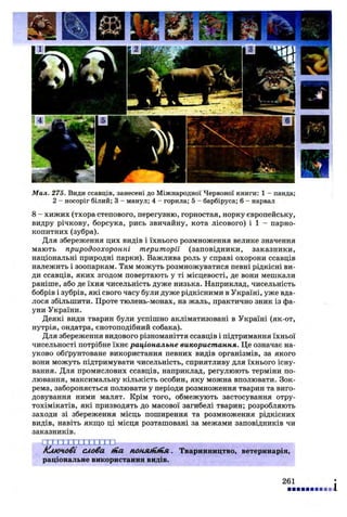 Мал. 275. Види ссавців, занесені до Міжнародної Червоної книги: 1 - панда;
2 - носоріг білий; 3 - манул; 4 - горила; 5 - барбіруса; 6 - нарвал
8 - хижих (тхора степового, перегузню, горностая, норку європейську,
видру річкову, борсука, рись звичайну, кота лісового) і 1 - парно­
копитних (зубра).
Для збереження цих видів і їхнього розмноження велике значення
мають природоохоронні території (заповідники, заказники,
національні природні парки). Важлива роль у справі охорони ссавців
належить і зоопаркам. Там можуть розмножуватися певні рідкісні ви­
ди ссавців, яких згодом повертають у ті місцевості, де вони мешкали
раніше, або де їхня чисельність дуже низька. Наприклад, чисельність
бобрів і зубрів, які свого часу були дуже рідкісними в Україні, уже вда­
лося збільшити. Проте тюлень-монах, на жаль, практично зник із фа­
уни України.
Деякі види тварин були успішно акліматизовані в Україні (як-от,
нутрія, ондатра, єнотоподібний собака).
Для збереження видового різноманіття ссавців і підтримання їхньої
чисельності потрібне їхнє раціональне використання. Це означає на­
уково обґрунтоване використання певних видів організмів, за якого
вони можуть підтримувати чисельність, сприятливу для їхнього існу­
вання. Для промислових ссавців, наприклад, регулюють терміни по­
лювання, максимальну кількість особин, яку можна вполювати. Зок­
рема, забороняється полювати у періоди розмноження тварин та виго­
довування ними малят. Крім того, обмежують застосування отру­
тохімікатів, які призводять до масової загибелі тварин; розробляють
заходи зі збереження місць поширення та розмноження рідкісних
видів, навіть якщо ці місця розташовані за межами заповідників чи
заказників.
ІІТГІХПТЛХДХР
Ключові слова гііа понліНіпл. Тваринництво, ветеринарія,
раціональне використання видів.
261
і
 