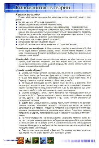 * л иш ш ш ш ш ш ш ш ш ш ш
Коротко nfio головне
Ссавці відіграють надзвичайно важливу роль у природі та житті лю­
дини:
■ багато видів є об’єктами промислу;
■ людина одомашнила певні види ссавців;
■ виникла окрема галузь народного господарства - тваринництво;
я свійські тварини слугують джерелом продуктів харчування, сиро­
виною для промисловості, використовуються у господарстві людини.
Багато видів ссавців перебувають під загрозою зникнення і тому
потребують охорони. З метою їх збереження:
■ створюють природоохоронні території;
■ регулюють промисел диких видів;
■ рідкісні та зникаючі види заносять до Червоної книги.
Запшпаннл дляісон/Щмлю. 1. Яке значення ссавців у житті людини? 2. Які
групи порід великої рогатої худоби, овець і коней вивела людина? 3. Які
види ссавців фауни України потребують охорони? 4. Що таке раціональне
використання видів?
Jtouiitucifiufie. Дикі предки таких свійських тварин, як кінь і велика рогата
худоба, були знищені людиною. Але нині відомі випадки, коли свійські
ссавці призвичаюються жити у дикій природі. Чи можна вважати, що так
будуть відновлені зниклі види?
Хочете знати більиіе?
■ Цікаво, що перші шкурки качкодзьоба, привезені в Європу, вважали
підробкою, вміло зробленою з фрагментів ссавців і гусеподібних птахів.
У те, що така тварина існує насправді, повірили лише після того, як в
Європу привезли перших живих особин качкодзьоба.
■ Качкодзьоб відкладає досить дрібні яйця, до 2 см у діаметрі. їхня
шкаралупа складається не з вапна, яку птахів, а з рогоподібної речовини.
Термін насиджування яєць незначний: від 7 до 10 діб. Цікаво, що у ма­
лят качкодзьоба є зуби, які зникають у дорослих тварин.
■ Малята білозубок, і сліпі, і зрячі, тривалий час пересуваються тільки
разом з матір’ю. При цьому одне з малят чіпляється зубами за шкіру
матері, друге - за шкіру першого і т.д. Таким чином утворюється
своєрідний караван.
■ Відомі всім морські свинки, з роду Кавія, яких тримають як декора­
тивних тварин, насправді жодного стосунку до моря не мають.
Батьківщина цих тварин - Південна Америка. Саме там вони були одо­
машнені племенами інків ще до появи європейців. Згодом ці тварини
потрапили в Європу, тому правильніше їх називати «заморськими свин­
ками».
■ На півночі Євразії та Північної Америки мешкають лемінги. Деякі ви­
ди цих гризунів узимку змінюють забарвлення хутра на біле, що робить
їх непомітними на тлі білого снігу. А у копитного лемінга кігті на деяких
пальцях збільшуються, набуваючи форми невеликих копитець (звідки й
походить назва цього виду).
■ Єнот-полоскун поширений в Америці. Таку назву вид має через те,
що, перед тим як з’їсти здобич, він полоще її у воді.
ізноманітність тварин
 