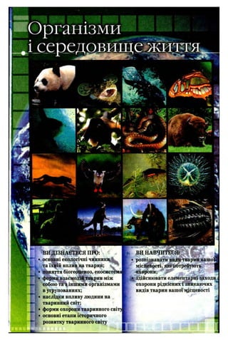 ■p~t
ВИ ДІЗНАЄТЕСЯ ПРО:
основні екологічні чинники
та їхній вплив на тварин;
поняття біогеоценоз, екосистемі
форми взаємодій тварин між
собою та з іншими організмами
в угрупованнях;
наслідки впливу людини на
тваринний світ;
форми охорони тваринного світ;
основні етапи історичного
розвитку тваринного світу
ВИ НАВЧИТЕСЯ;
• розпізнавати види тварин вашо
місцевості, які потребують
охорони;
•Іздійснювати елементарні заходи
охорони рідкісних і зникаючих *
видів тварин вашої місцевості
і
 
