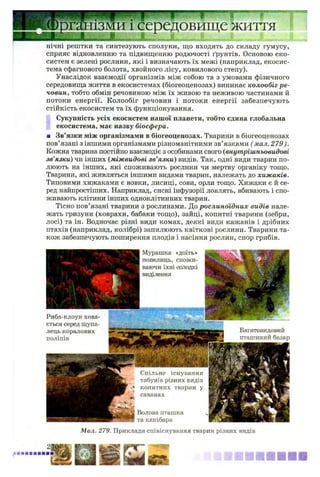іізйи і середовище життя
■ І І Щ
нічні рештки та синтезують сполуки, що входять до складу гумусу,
сприяє відновленню та підвищенню родючості ґрунтів. Основою еко­
систем е зелені рослини, які і визначають їх межі (наприклад, екосис­
тема сфагнового болота, хвойного лісу, ковилового степу).
Унаслідок взаємодії організмів між собою та з умовами фізичного
середовища життя в екосистемах (біогеоценозах) виникає колообіг р е­
човин, тобто обмін речовиною між їх живою та неживою частинами й
потоки енергії. Колообіг речовин і потоки енергії забезпечують
стійкість екосистем та їх функціонування.
Сукупність усіх екосистем нашої планети, тобто єдина глобальна
екосистема, має назву біосфера.
■ Зв’язки між організмами в біогеоценозах. Тварини в біогеоценозах
пов’язані з іншими організмами різноманітними зв’язками ( мал. 279).
Кожна тварина постійно взаємодіє з особинами свого (внутрішньовидові
зв’язки) чи інших (міжвидові зв’язки) видів. Так, одні види тварин по­
люють на інших, які споживають рослини чи мертву органіку тощо.
Тварини, які живляться іншими видами тварин, належать до хижаків.
Типовими хижаками є вовки, лисиці, сови, орли тощо. Хижаки є й се­
ред найпростіших. Наприклад, сисні інфузорії ловлять, вбивають і спо­
живають клітини інших одноклітинних тварин.
Тісно пов’язані тварини з рослинами. До рослиноїдних видів нале­
жать гризуни (ховрахи, бабаки тощо), зайці, копитні тварини (зебри,
лосі) та ін. Водночас різні види комах, деякі види кажанів і дрібних
птахів (наприклад, колібрі) запилюють квіткові рослини. Тварини та­
кож забезпечують поширення плодів і насіння рослин, спор грибів.
Спільне існування
табунів різних видів
копитних тварин у
саванах
Волова пташка
та капібара
Мурашка «доїть»
попелиць, спожи­
ваючи їхні солодкі
виділення
Риба-клоун хова­
ється серед щупа­
лець коралових
поліпів
Багатовидовий
пташиний базар
Мал. 279. Приклади співіснування тварин різних видів
 