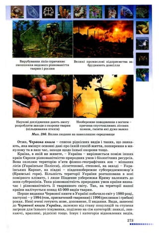 Вирубування лісів спричиняє
зменшення видового різноманіття
тварин і рослин
Великі промислові підприємства за­
бруднюють довкілля
Наукові дослідження дають змогу Необережне поводження з вогнем -
розробляти заходи з охорони тварин причина спустошливих лісових
(кільцювання птахів) пожеж, гасити які дуже важко
Мал. 280. Вплив людини на навколишнє середовище
Отже, Червона книга - список рідкісних видів і таких, що зника­
ють, яка вміщує основні дані про їхній спосіб життя, поширення в ми­
нулому та в наш час, заходи щодо їхньої охорони тощо.
Країна, в якій ви живете, - Україна - вирізняється поміж інших
країн Європи різноманітністю природних умов і біологічних ресурсів.
Вона охоплює територію п’яти фізико-географічних зон - мішаних
лісів (Українське Полісся), лісостепової, степової, на заході - Укра­
їнських Карпат, на півдні - південнобережне субсередземномор’я
(Кримські гори). Більшість території України розташована в зоні
помірного клімату, і лише Південне узбережжя Криму належить до
зони субтропіків. Така різноманітність природних умов країни визна­
чає і різноманітність її тваринного світу. Так, на території нашої
країни налічується понад 45 000 видів тварин.
Перше видання Червоної книги в Україні побачило світ у 1980 році,
наступні - у 1994 (том, присвячений тваринам) і 1996 (рослинам і грибам)
роках. Нині вчені готують нове, доповнене, її видання. Види, занесені
до Червоної книги України, залежно від стану популяцій та ступеня
загрози для їхнього існування, поділено на сім категорій: зниклі, зни­
каючі, вразливі, рідкісні тощо. Існує і категорія відновлених видів,
273
 