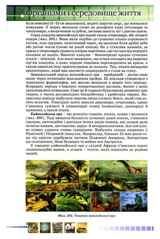 були невеликі (5-15 см завдовжки), вкриті шерстю звірі, що живилися
комахами. У морях мешкали схожі на дельфінів хижі іхтіозаври та
плезіозаври, з вкороченим тулубом, ластами замість ніг і довгою шиєю.
Серед плазунів мезозойської ери відомі також птерозаври, або літаючі
ящери (мал. 285). Вони мали подібно до сучасних птахів порожнисті
кістки, кіль грудини, полегшений череп, на щелепах були дрібні зуби
або рогові чохли (схожі на дзьоб птахів). Як у сучасних кажанів, за
крила у птерозаврів правила шкірна перетинка, що тяглася від передніх
кінцівок до задніх. Викопні плазуни - безпосередні предки сучасних
птахів - невідомі. Але вчені вважають, що птахи походять від вкритих
пір’ям плазунів, в яких передні кінцівки перетворилися на крила, а
також виникли інші пристосування до польоту. Так, птахів нагадував
археоптерикс, який мав здатність планерувати з гілки на гілку.
Завершальний період мезозойської ери - крейдяний - дістав свою
назву через інтенсивне відкладення крейди. Ці поклади утворилися з
черепашок форамініфер, які масово мешкали в морях того періоду.
Всередині періоду з’явилися покритонасінні рослини, багато з яких
запилювалися комахами. Саме це й сприяло бурхливому розвитку цих
тварин, а також рослиноїдних безхребетних і хребетних тварин. На­
прикінці періоду відбулася чергова зміна клімату Землі, який став до­
сить вологим. Унаслідок цього зникли динозаври, птерозаври, однак
з’явилися сумчасті й плацентарні ссавці (комахоїдні, рукокрилі й
примати), а також птахи.
Кайнозойська ера - час розквіту ссавців, птахів, комах і молюсків
( мал. 286). Тоді виникла більшість сучасних рядів птахів, з’явилися
гризуни, китоподібні і декілька інших рядів ссавців, які згодом дали
початок хижим, ластоногим, парно- й непарнокопитним. Але поступо­
во клімат планети ставав суворішим. Відбулося кілька зледенінь у
Північній і Південній півкулях. Наприклад, близько 12 млн років то­
му під кригою перебувала частина Південної Америки, Антарктида
(до сьогодення), Нова Зеландія та майже вся Австралія.
У середині кайнозойської ери у східній Африці з’ явилися перші
людиноподібні мавпи, а згодом - істоти, яких відносять до родини
людей.
Організми і середовище життя
І і
Мал. 285. Тварини мезозойської ери
 