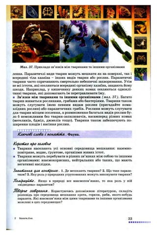 Мал. 37. Приклади зв’язків між тваринами та іншими організмами
лення. Паразитичні види тварин можуть мешкати як на поверхні, так і
всередині тіла хазяїна - інших видів тварин або рослин. Паразитичні
тварини часто спричиняють смертельно небезпечні захворювання. Утім
не всі істоти, які оселяються всередині організму хазяїна, завдають йому
шкоди. Наприклад, у кишечнику деяких комах оселяються одноклі­
тинні тварини, які допомагають їм перетравлювати їжу.
■ Зв’язки між тваринами та іншими організмами (мал. 37). Багато
тварин живиться рослинами, грибами або бактеріями. Тварини також
можуть слугувати їжею певним видам рослин (пригадайте кома­
хоїдних рослин) або паразитичних грибів. Рослини можуть слугувати
для тварин місцем оселення, а розмноження багатьох видів рослин бу­
ло б неможливим без тварин-запилювачів, насамперед різних комах
(метеликів, бджіл, джмелів тощо). Тварини також забезпечують по­
ширення плодів і насіння рослин.
ТІ 1 ГППХТЗХ О
ключові слова і поняиіпйя. Фауна.
fcofiottiico nfio головне
я Тварини населяють усі основні середовища мешкання: наземно-
повітряне, водне, ґрунтове, організми живих істот.
■ Тварини можуть перебувати в різних зв’язках між собою та іншими
організмами: взаємокорисних, нейтральних або таких, що мають
негативні наслідки.
Запшпаянл для. кошп/кию. 1. Де мешкають тварини? 2. Що таке парази­
тизм? 3. Яку роль у природних угрупованнях можуть виконувати тварини?
. Якщо в природі все взаємопов’язано, то яка роль у ній
«відведена» паразитам?
ШокНЄ завданню . Користуючись допоміжною літературою, складіть
розповідь про середовища мешкання крота, горили, риби, якого-небудь
паразита. Які взаємозв’язки між цими тваринами та іншими організмами
можливі в цих середовищах?
2 біологія, 8 кл. 33
 