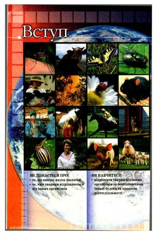 Й М И
ВИ НАВЧИТЕСЯ:
• відрізняти тварин від інших
організмів за особливостями
їхньої будови та процесів
життєдіяльності
ВИ ДІЗНАЄТЕСЯ ПРО:
• те, що вивчає наука зоологія;
• те, чим тварини відрізняються
від інших організмів
 