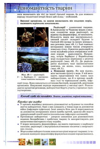 ■ і
Різноманітність тварин
J L « л .,-Л. ■.
,2 '
логи визначають вік тієї чи іншої гірської породи, бо для кожного
періоду геологічної історії Землі цей склад - особливий.
Викопні організми, за якими визначають вік осадових порід,
називають керівними копалинами.
Радіолярії - планктонні тварини.
В Азовському та Чорному морях з низь­
кою солоністю води радіолярії, на
відміну від форамініфер, не мешкають.
Більшість видів має внутрішньоклі­
тинний скелет складної будови із
Силіцій (II) оксиду та інших мінераль­
них речовин (мал. 4 9 ,1 ). їхні тоненькі
несправжні ніжки також утворюють
ловильну сітку. З решток радіолярій за
сотні мільйонів років утворилися особ­
ливі породи - радіолярити. Наприк­
лад, острів Барбадос у Карибському
морі складається переважно з решток
радіолярій (мал. 49, 2 ). До радіоля­
ритів належить таке напівкоштовне
каміння, як яшма, опал, халцедон
(мал. 49, З).
■ Мешканці ґрунту. Як вам відомо,
між частками ґрунту є вода. У ній меш­
кають представники тих самих груп
найпростіших, що й в прісних водой­
мах: голі та черепашкові амеби, інфу­
зорії тощо. Вони живляться клітинами бактерій, водоростей, рештками
організмів. Посушливі періоди переживають у вигляді цист. Розкла­
даючи органічні речовини, найпростіші беруть участь у процесах ґрун­
тоутворення.
Мал. 49. 1 - радіолярії;
2 - о . Барбадос; 3 - напівкош­
товне каміння халцедон
слова іпа nOHJUnmsi. Бентос, планктон, керівні копалини.
KafiOHtKOnfio головне
■ У прісних водоймах мешкають різноманітні за будовою та способом
життя найпростіші. Одні з них плавають у товщі води за допомогою
війок (інфузорія-туфелька). Інші живуть біля дна й пересуваються
за допомогою несправжніх ніжок (амеба протей, арцела) або ведуть
прикріплений спосіб життя (колоніальна інфузорія зоотамній).
■ Прісноводні найпростіші - джерело живлення для різноманітних
водяних безхребетних і хребетних тварин; їх використовують для
визначення санітарного стану водойм.
■ У морях мешкають: форамініфери, що мають черепашку з карбонату
кальцію; радіолярії з внутрішньоклітинним скелетом з неорганіч­
них сполук.
ш Морськими найпростішими живляться різні морські тварини; із че­
репашок відмерлих форамініфер формуються осадові породи (вапняк),
 