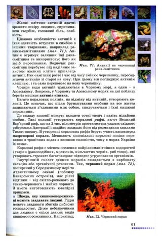 Жалкі клітини актиній здатні
вражати шкіру людини, спричиня­
ючи свербіж, головний біль, слаб­
кість.
Цікавою особливістю актиній є
їхня здатність вступати в симбіоз з
іншими тваринами, наприклад ра-
ками-самітниками (мал. 71). А к ­
тинія отримує залишки їжі рака-
самітника та використовує його як
засіб пересування. Водночас рак-
самітник перебуває під надійним за­
хистом жалких клітин щупалець
актинії. Рак-самітник росте і час від часу змінює черепашку, пересад­
жуючи актинію зі старої на нову. При цьому він погладжує актинію
клешнею, і та сама переповзає на нову черепашку.
Чотири види актиній трапляються в Чорному морі, а один - в
Азовському. Зокрема, у Чорному та Азовському морях на дні поблизу
берегів мешкає актинія кінська.
Багато коралових поліпів, на відміну від актиній, утворюють ко­
лонії. Це означає, що після брунькування особини на все життя
залишаються з’єднаними між собою, сполучаються і їхні кишкові
порожнини.
До складу колонії можуть входити сотні тисяч і навіть мільйони
особин. Такі колонії утворюють коралові рифи, як-от Великий
Бар’єрний риф, що на 2 тис. кілометрів простягається уздовж східного
узбережжя Австралії і надійно захищає його від розмивання хвилями
Тихого океану. В утворенні коралових рифів беруть участь насамперед
мадрепорові корали. Мешкають колоніальні коралові поліпи пере­
важно в тропічних водах з високою солоністю, тому в морях України
їх немає.
Коралові рифи є місцем оселення найрізноманітніших водоростей
і тварин (ракоподібних, молюсків, кільчастих червів, риб тощо), які
утворюють строкате багатовидове підводне угруповання організмів.
Внутрішній скелет деяких коралів складається з карбонату
кальцію або органічної речовини. Так, червоний корал (мал. 72),
поширений у Середземному морі та
Атлантичному океані (поблизу
Канарських островів), має різні
відтінки - від світло-рожевого до
темно-червоного і майже чорного.
З нього виготовляють ювелірні
прикраси.
■ Шкода, яку кишковопорожнин­
ні можуть завдавати людині. Гідри
можуть завдавати збитків рибному
господарству. Дуже небезпечними
для людини є опіки деяких видів
кишковопорожнинних. Наприклад, М ал. 72. Червоний корал
Мал. 71. Актинії на черепашці
рака-самітника
61
 