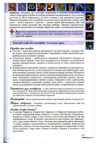 широким. Стьожак, як і ціп’яки, паразитує у тонкому кишечнику ха­
зяїна і спричиняє подібне за своїми проявами захворювання. Тіло стьожа-
ка сягає до 20 м завдовжки, на його головці є дві прикріпні щілини.
Паразит розвивається у водоймах за участю двох проміжних хазяїв: пер­
шого - рачка циклопа і другого - різних видів прісноводних риб, які
живляться цими рачками або іншими рибами. Людина заражується,
вживаючи недостатньо кулінарно оброблену рибу з личинками паразита.
Джерелом зараження стьожаком широким може стати не тільки м’ясо
* риби, а й недостатньо просолена ікра прісноводних риб (наприклад,
щуки або судака).
ГОГІТ ГІТ ІТ.П.Т.і
Ключові слова /па поняйі/пя . Гельмінти, фіна.
Копанко nfto головне
■ Сисуни - паразити різних внутрішніх органів тварин і людини. Во­
ни мають два присоски (ротовий і черевний), їхній життєвий цикл
відбувається зі зміною хазяїв.
■ Стьожкові черви - здебільшого паразити кишечнику людини та
різних видів тварин. їхнє тіло складається з головки, де розміщені
органи прикріплення, шийки із зоною росту та тіла, поділеного на
членики.
■ Перебуваючи в організмі хазяїна, паразити захищені від несприятли­
вих впливів довкілля, у них спрощується опорно-руховий апарат, нер­
вова система та органи чуттів, може зникати травна система. Натомість
їм притаманний розвиток органів прикріплення (присосків, гачків то­
що), підвищена плодючість, ускладнення життєвих циклів, які мо­
жуть супроводжуватися зміною хазяїв. Паразити часто здійснюють
складні міграції в організмі хазяїна, мета яких - відшукати певний
орган, до існування в якому вони пристосовані, та закріпитися в ньому.
З а н и ва н н я для. КОН/И/іОЛЮ . 1. Які життєві цикли котячого та печінко­
вого сисунів? 2. Чим життєвий цикл ехінокока відрізняється від життєвих
циклів бичачого і свинячого ціп’яків? 3. Як запобігти зараженню людини
та свійських тварин стьожковими червами?
JIoMtftKlfUffie. Чому паразитичним червам притаманна висока плодючість?
m ofrne завдання. Розробіть рекомендації щодо убезпечення себе від
паразитичних плоских червів.
Хочете знагііи більше?
■ У країнах Південно-Східної Азії, Африки та Південної Америки небез­
печними паразитами крові людини є сисуни шистозоми. Людина за­
ражається через шкіру, в яку личинки шистозом проникають під час
перебування у воді. В Україні трапляються шистозоми, які паразиту­
ють у крові водоплавних птахів. Личинки цих паразитів здатні проникати
і в шкіру людини, спричиняючи її подразнення і свербіж. Тому не слід
купатися у мілких стоячих водоймах, які відвідують водоплавні птахи.
Після купання у будь-яких ставках потрібно відразу ж витирати тіло
рушником.
73
 
