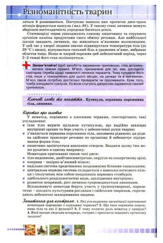 ізноманітність тварин
^ Ш Н К р 1 £ ^ -Я „
ляться й розвиваються. Поступово навколо них протягом двох-трьох
місяців формується капсула (мал. 88). У такому стані личинки можуть
зберігати життєздатність упродовж багатьох років.
Статевозрілі черви ушкоджують слизову кишечнику та отруюють
організм хазяїна продуктами свого обміну речовин. Але найбільшої
шкоди завдають личинки, що живляться м’язовими волоконцями.
У цей час у хворої людини значно підвищується температура тіла (до
39 °С і вище), відчувається сильний біль в уражених м’язах, набрякає
обличчя тощо. Якщо ж хворий пережив цей небезпечний період, через
2 -3 тижні його стан поліпшується.
Запам’ятайте! Щоб запобігти зараженню трихінелою, слід дотриму-
™ ватися певних правил. М’ясо, призначене для їжі, має дослідити
санітарна служба щодо наявності личинок паразита. Тому купувати його
слід лише у призначених для цього місцях: на ринках та в магазинах.
М’ясо також потрібно достатньо проварити чи просмажити. Крім того,
треба знищувати гризунів, бо вони слугують джерелом зараження свиней
трихінелою.
К лю чові слова tHa понягіігіія. Кутикула, первинна порожнина
тіла, линяння.
Koftotfhco nfio головне
У нематод, порівняно з плоскими червами, спостерігають такі
ускладнення:
■ їхнє тіло вкрите щільною кутикулою, що надійно захищає
внутрішні органи та бере участь у забезпеченні рухів тварин;
■ з’являється первинна порожнина тіла, заповнена рідиною; ця ріди­
на здійснює транспорт речовин по організму й забезпечує підтри­
мання форми тіла;
■ кишечник закінчується анальним отвором. Завдяки цьому їжа мо­
же рухатись в одному напрямку.
Нематодам притаманні також такі риси:
■ тіло видовжене, двобічносиметричне, округле на поперечному зрізі;
■ покриви - шкірно-м’язовий мішок;
■ видільна система представлена поздовжніми бічними канальцями;
■ центральна нервова система складається з навкологлоткового кіль­
ця і сполучених між собою поздовжніх нервових стовбурів;
■ здебільшого роздільностатеві види, запліднення внутрішнє;
■ розвиток непрямий, ріст личинок супроводжується линянням.
Вільноживучі нематоди беруть участь у ґрунтоутворенні, парази­
тичні - шкодять культурним рослинам і свійським тваринам, спричи­
няють небезпечні захворювання людини.
Зат инання С/ЛЯ КОНІПріОЛЮ . 1. Які ускладнення організації притаманні
нематодам порівняно з плоскими червами? 2. Що таке первинна порож­
нина тіла та які її функції? 3. У чому полягає роль нематод у природі?
4. Якої шкоди людська аскарида, гострик і трихінела завдають організму
людини?
 