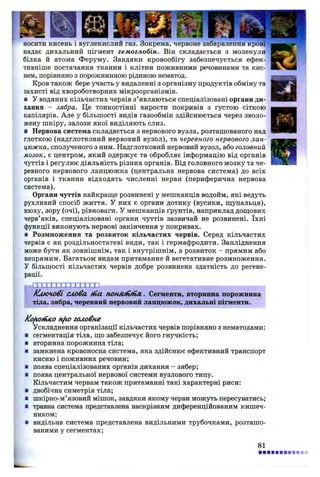 носити кисень і вуглекислий газ. Зокрема, червоне забарвлення крові
надає дихальний пігмент гемоглобін. Він складається з молекули
білка й атома Феруму. Завдяки кровообігу забезпечується ефек­
тивніше постачання тканин і клітин поживними речовинами та кис­
нем, порівняно з порожнинною рідиною нематод.
Кров також бере участь у видаленні з організму продуктів обміну та
захисті від хвороботворних мікроорганізмів.
■ У водяних кільчастих червів з’являються спеціалізовані органи ди­
хання - зябра. Це тонкостінні вирости покривів з густою сіткою
капілярів. Але у більшості видів газообмін здійснюється через зволо­
жену шкіру, залози якої виділяють слиз.
■ Нервова система складається з нервового вузла, розташованого над
глоткою (надглотковий нервовий вузол), та черевного нервового лан­
цюжка, сполученого з ним. Надглотковий нервовий вузол, або головний
мозок, є центром, який одержує та обробляє інформацію від органів
чуттів і регулює діяльність різних органів. Від головного мозку та че­
ревного нервового ланцюжка (центральна нервова система) до всіх
органів і тканин відходять численні нерви (периферична нервова
система).
Органи чуттів найкраще розвинені у мешканців водойм, які ведуть
рухливий спосіб життя. У них є органи дотику (вусики, щупальця),
нюху, зору (очі), рівноваги. У мешканців ґрунтів, наприклад дощових
черв’яків, спеціалізовані органи чуттів зазвичай не розвинені. їхні
функції виконують нервові закінчення у покривах.
■ Розмноження та розвиток кільчастих червів. Серед кільчастих
червів є як роздільностатеві види, так і гермафродити. Запліднення
може бути як зовнішнім, так і внутрішнім, а розвиток - прямим або
непрямим. Багатьом видам притаманне й вегетативне розмноження.
У більшості кільчастих червів добре розвинена здатність до регене­
рації.
Ключові слова fna понмппія.. Сегменти, вторинна порожнина
тіла, зябра, черевний нервовий ланцюжок, дихальні пігменти.
Kofioinico nfio головне
Ускладнення організації кільчастих червів порівняно з нематодами:
■ сегментація тіла, що забезпечує його гнучкість;
я вторинна порожнина тіла;
* замкнена кровоносна система, яка здійснює ефективний транспорт
кисню і поживних речовин;
■ поява спеціалізованих органів дихання - зябер;
■ поява центральної нервової системи вузлового типу.
Кільчастим червам також притаманні такі характерні риси:
■ двобічна симетрія тіла;
■ шкірно-м’язовий мішок, завдяки якому черви можуть пересуватись;
■ травна система представлена наскрізним диференційованим кишеч­
ником;
■ видільна система представлена видільними трубочками, розташо­
ваними у сегментах;
81
 