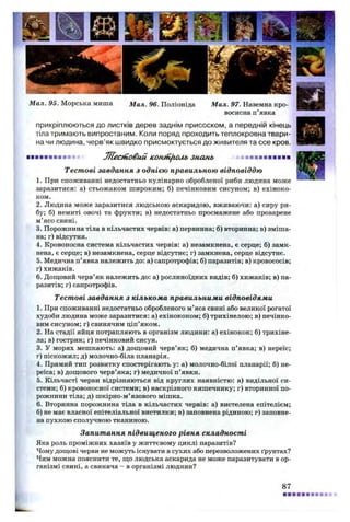 Мал. 95. Морська миша Мал. 96. Поліоніда Мал. 97. Наземна кро­
восисна п’явка
прикріплюються до листків дерев заднім присоском, а передній кінець
тіла тримають випростаним. Коли поряд проходить теплокровна твари­
на чи людина, черв’як швидко присмоктується до живителя та ссе кров.
■■■■■■■■■* Ж есіїовий Komnficub знань ■■■■■■■■■■■■
Тестові завдання з однією правильною відповіддю
1. При споживанні недостатньо кулінарно обробленої риби людина може
заразитися: а) стьожаком широким; б) печінковим сисуном; в) ехіноко­
ком.
2. Людина може заразитися людською аскаридою, вживаючи: а) сиру ри­
бу; б) немиті овочі та фрукти; в) недостатньо просмажене або проварене
м’ясо свині.
3. Порожнина тіла в кільчастих червів: а) первинна; б) вторинна; в) зміша­
на; г) відсутня.
4. Кровоносна система кільчастих червів: а) незамкнена, є серце; б) замк­
нена, є серце; в) незамкнена, серце відсутнє; г) замкнена, серце відсутнє.
5. Медична п’явка належить до: а) сапротрофів; б) паразитів; в) кровососів;
г) хижаків.
6. Дощовий черв’як належить до: а) рослиноїдних видів; б) хижаків; в) па­
разитів; г)сапротрофів.
Тестові завдання з кількома правильними відповідями
1. При споживанні недостатньо обробленого м’яса свині або великої рогатої
худоби людина може заразитися: а) ехінококом; б) трихінелою; в) печінко­
вим сисуном; г) свинячим ціп’яком.
2. На стадії яйця потрапляють в організм людини: а) ехінокок; б) трихіне­
ла; в) гострик; г) печінковий сисун.
3. У морях мешкають: а) дощовий черв’як; б) медична п’явка; в) нереїс;
г) піскожил; д) молочно-біла планарія.
4. Прямий тип розвитку спостерігають у: а) молочно-білої планарії; б) не-
реїса; в) дощового черв’яка; г) медичної п’явки.
5. Кільчасті черви відрізняються від круглих наявністю: а) видільної си­
стеми; б) кровоносної системи; в) наскрізного кишечнику; г) вторинної по­
рожнини тіла; д) шкірно-м’язового мішка.
6. Вторинна порожнина тіла в кільчастих червів: а) вистелена епітелієм;
б) не має власної епітеліальної вистилки; в) заповнена рідиною; г) заповне­
на пухкою сполучною тканиною.
Запитання підвищеного рівня складності
Яка роль проміжних хазяїв у життєвому циклі паразитів?
Чому дощові черви не можуть існувати в сухих або перезволожених ґрунтах?
Чим можна пояснити те, що людська аскарида не може паразитувати в ор­
ганізмі свині, а свиняча - в організмі людини?
87
 