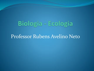 Professor Rubens Avelino Neto
 