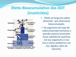 Efeito Bioacumulativo das DDT
(inseticidas)
 Efeito ao longo da cadeia
alimentar, que chamamos
bioacumulação.
 Os organismo do topo da
cadeia (exemplo humanos e
grandes peixes) acumulam
essas substâncias químicas
em seu organismo e isso
leva a vários problemas nos
rins, fígados, além de
cânceres.
 