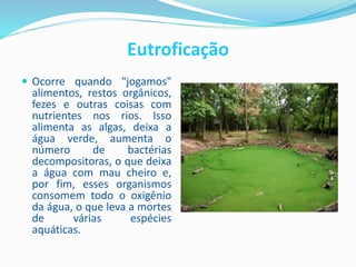 Eutroficação
 Ocorre quando "jogamos"
alimentos, restos orgânicos,
fezes e outras coisas com
nutrientes nos rios. Isso
alimenta as algas, deixa a
água verde, aumenta o
número de bactérias
decompositoras, o que deixa
a água com mau cheiro e,
por fim, esses organismos
consomem todo o oxigênio
da água, o que leva a mortes
de várias espécies
aquáticas.
 
