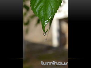 Portfólio Luminous FotoFilme