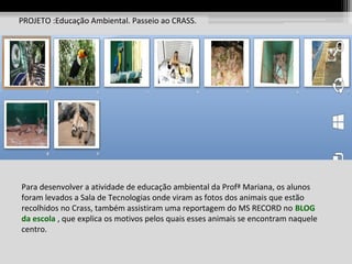 PROJETO :Educação Ambiental. Passeio ao CRASS.

Para desenvolver a atividade de educação ambiental da Profª Mariana, os alunos
foram levados a Sala de Tecnologias onde viram as fotos dos animais que estão
recolhidos no Crass, também assistiram uma reportagem do MS RECORD no BLOG
da escola , que explica os motivos pelos quais esses animais se encontram naquele
centro.

 