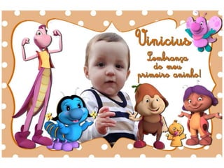 Portfólio | Barbara F. Vechini