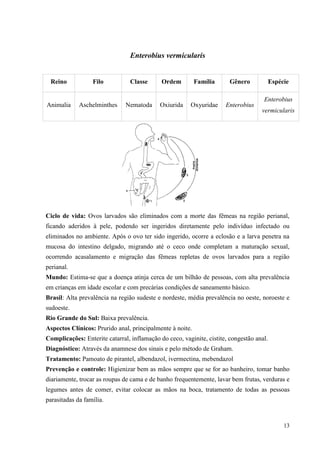 13
Enterobius vermicularis
Ciclo de vida: Ovos larvados são eliminados com a morte das fêmeas na região perianal,
ficando aderidos à pele, podendo ser ingeridos diretamente pelo indivíduo infectado ou
eliminados no ambiente. Após o ovo ter sido ingerido, ocorre a eclosão e a larva penetra na
mucosa do intestino delgado, migrando até o ceco onde completam a maturação sexual,
ocorrendo acasalamento e migração das fêmeas repletas de ovos larvados para a região
perianal.
Mundo: Estima-se que a doença atinja cerca de um bilhão de pessoas, com alta prevalência
em crianças em idade escolar e com precárias condições de saneamento básico.
Brasil: Alta prevalência na região sudeste e nordeste, média prevalência no oeste, noroeste e
sudoeste.
Rio Grande do Sul: Baixa prevalência.
Aspectos Clínicos: Prurido anal, principalmente à noite.
Complicações: Enterite catarral, inflamação do ceco, vaginite, cistite, congestão anal.
Diagnóstico: Através da anamnese dos sinais e pelo método de Graham.
Tratamento: Pamoato de pirantel, albendazol, ivermectina, mebendazol
Prevenção e controle: Higienizar bem as mãos sempre que se for ao banheiro, tomar banho
diariamente, trocar as roupas de cama e de banho frequentemente, lavar bem frutas, verduras e
legumes antes de comer, evitar colocar as mãos na boca, tratamento de todas as pessoas
parasitadas da família.
Reino Filo Classe Ordem Família Gênero Espécie
Animalia Aschelminthes Nematoda Oxiurida Oxyuridae Enterobius
Enterobius
vermicularis
 