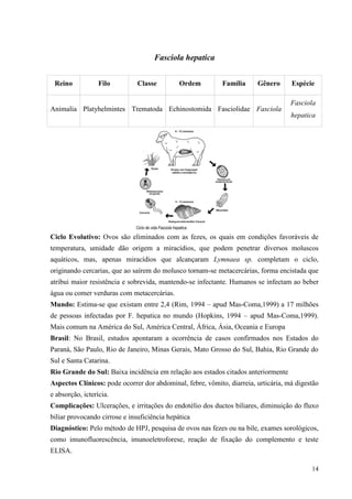 14
Fasciola hepatica
Ciclo Evolutivo: Ovos são eliminados com as fezes, os quais em condições favoráveis de
temperatura, umidade dão origem a miracídios, que podem penetrar diversos moluscos
aquáticos, mas, apenas miracídios que alcançaram Lymnaea sp. completam o ciclo,
originando cercarias, que ao saírem do molusco tornam-se metacercárias, forma encistada que
atribui maior resistência e sobrevida, mantendo-se infectante. Humanos se infectam ao beber
água ou comer verduras com metacercárias.
Mundo: Estima-se que existam entre 2,4 (Rim, 1994 – apud Mas-Coma,1999) a 17 milhões
de pessoas infectadas por F. hepatica no mundo (Hopkins, 1994 – apud Mas-Coma,1999).
Mais comum na América do Sul, América Central, África, Ásia, Oceania e Europa
Brasil: No Brasil, estudos apontaram a ocorrência de casos confirmados nos Estados do
Paraná, São Paulo, Rio de Janeiro, Minas Gerais, Mato Grosso do Sul, Bahia, Rio Grande do
Sul e Santa Catarina.
Rio Grande do Sul: Baixa incidência em relação aos estados citados anteriormente
Aspectos Clínicos: pode ocorrer dor abdominal, febre, vômito, diarreia, urticária, má digestão
e absorção, icterícia.
Complicações: Ulcerações, e irritações do endotélio dos ductos biliares, diminuição do fluxo
biliar provocando cirrose e insuficiência hepática
Diagnóstico: Pelo método de HPJ, pesquisa de ovos nas fezes ou na bile, exames sorológicos,
como imunofluorescência, imunoeletroforese, reação de fixação do complemento e teste
ELISA.
Reino Filo Classe Ordem Família Gênero Espécie
Animalia Platyhelmintes Trematoda Echinostomida Fasciolidae Fasciola
Fasciola
hepatica
 