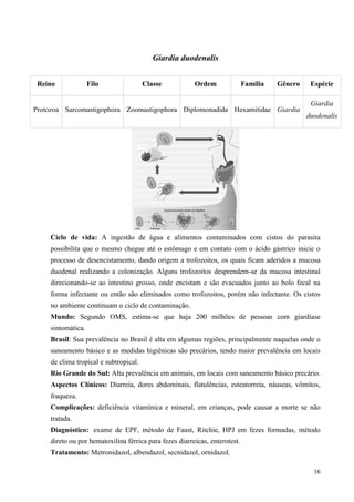 16
Giardia duodenalis
Ciclo de vida: A ingestão de água e alimentos contaminados com cistos do parasita
possibilita que o mesmo chegue até o estômago e em contato com o ácido gástrico inicie o
processo de desencistamento, dando origem a trofozoitos, os quais ficam aderidos a mucosa
duodenal realizando a colonização. Alguns trofozoitos desprendem-se da mucosa intestinal
direcionando-se ao intestino grosso, onde encistam e são evacuados junto ao bolo fecal na
forma infectante ou então são eliminados como trofozoitos, porém não infectante. Os cistos
no ambiente continuam o ciclo de contaminação.
Mundo: Segundo OMS, estima-se que haja 200 milhões de pessoas com giardíase
sintomática.
Brasil: Sua prevalência no Brasil é alta em algumas regiões, principalmente naquelas onde o
saneamento básico e as medidas higiênicas são precários, tendo maior prevalência em locais
de clima tropical e subtropical.
Rio Grande do Sul: Alta prevalência em animais, em locais com saneamento básico precário.
Aspectos Clínicos: Diarreia, dores abdominais, flatulências, esteatorreia, náuseas, vômitos,
fraqueza.
Complicações: deficiência vitamínica e mineral, em crianças, pode causar a morte se não
tratada.
Diagnóstico: exame de EPF, método de Faust, Ritchie, HPJ em fezes formadas, método
direto ou por hematoxilina férrica para fezes diarreicas, enterotest.
Tratamento: Metronidazol, albendazol, secnidazol, ornidazol.
Reino Filo Classe Ordem Família Gênero Espécie
Protozoa Sarcomastigophora Zoomastigophora Diplomonadida Hexamitidae Giardia
Giardia
duodenalis
 