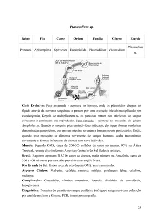 23
Plasmodium sp.
Ciclo Evolutivo: Fase assexuada - acontece no homem, onde os plasmódios chegam ao
fígado através da corrente sanguínea, e passam por uma evolução inicial (multiplicação por
esquizogonia). Depois de multiplicarem-se, os parasitas entram nos eritrócitos do sangue
circulante e continuam sua reprodução. Fase sexuada - acontece no mosquito do gênero
Anopheles sp. Quando o mosquito pica um indivíduo infectado, ele ingere formas evolutivas
denominadas gametócitos, que em seu intestino se unem e formam novos protozoários. Então,
quando esse mosquito se alimenta novamente de sangue humano, acaba transmitindo
novamente as formas infectantes da doença num novo indivíduo.
Mundo: Segundo OMS, cerca de 200-300 milhões de casos no mundo, 90% na África
Tropical, restante distribuído nas Américas Central e do Sul, Sudeste Asiático.
Brasil: Registros apontam 315.716 casos da doença, maior número na Amazônia, cerca de
300 a 400 mil casos por ano. Alta prevalência na região Norte.
Rio Grande do Sul: Baixo risco, de acordo com OMS, sem transmissão.
Aspectos Clínicos: Mal-estar, cefaleia, cansaço, mialgia, geralmente febre, calafrios,
sudorese.
Complicações: Convulsões, vômitos repentinos, icterícia, distúrbios da consciência,
hipoglicemia.
Diagnóstico: Pesquisa do parasito no sangue periférico (esfregaço sanguíneo) com coloração
por azul de metileno e Giemsa, PCR, imunocromatografia.
Reino Filo Classe Ordem Família Gênero Espécie
Protozoa Apicomplexa Sporozoea Eucoccidiida Plasmodiidae Plasmodium
Plasmodium
sp.
 