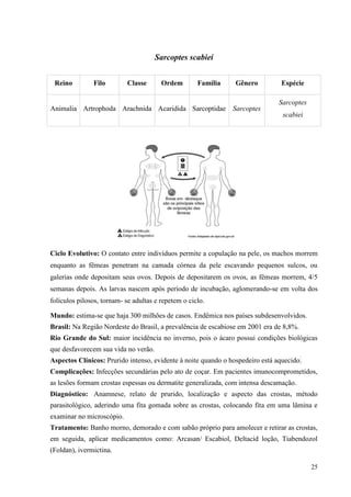 25
Sarcoptes scabiei
Ciclo Evolutivo: O contato entre indivíduos permite a copulação na pele, os machos morrem
enquanto as fêmeas penetram na camada córnea da pele escavando pequenos sulcos, ou
galerias onde depositam seus ovos. Depois de depositarem os ovos, as fêmeas morrem, 4/5
semanas depois. As larvas nascem após período de incubação, aglomerando-se em volta dos
folículos pilosos, tornam- se adultas e repetem o ciclo.
Mundo: estima-se que haja 300 milhões de casos. Endêmica nos países subdesenvolvidos.
Brasil: Na Região Nordeste do Brasil, a prevalência de escabiose em 2001 era de 8,8%.
Rio Grande do Sul: maior incidência no inverno, pois o ácaro possui condições biológicas
que desfavorecem sua vida no verão.
Aspectos Clínicos: Prurido intenso, evidente à noite quando o hospedeiro está aquecido.
Complicações: Infecções secundárias pelo ato de coçar. Em pacientes imunocomprometidos,
as lesões formam crostas espessas ou dermatite generalizada, com intensa descamação.
Diagnóstico: Anamnese, relato de prurido, localização e aspecto das crostas, método
parasitológico, aderindo uma fita gomada sobre as crostas, colocando fita em uma lâmina e
examinar no microscópio.
Tratamento: Banho morno, demorado e com sabão próprio para amolecer e retirar as crostas,
em seguida, aplicar medicamentos como: Arcasan/ Escabiol, Deltacid loção, Tiabendozol
(Foldan), ivermictina.
Reino Filo Classe Ordem Família Gênero Espécie
Animalia Artrophoda Arachnida Acaridida Sarcoptidae Sarcoptes
Sarcoptes
scabiei
 