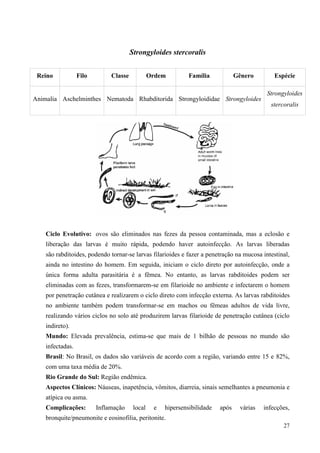 27
Strongyloides stercoralis
Ciclo Evolutivo: ovos são eliminados nas fezes da pessoa contaminada, mas a eclosão e
liberação das larvas é muito rápida, podendo haver autoinfecção. As larvas liberadas
são rabditoides, podendo tornar-se larvas filarioides e fazer a penetração na mucosa intestinal,
ainda no intestino do homem. Em seguida, iniciam o ciclo direto por autoinfecção, onde a
única forma adulta parasitária é a fêmea. No entanto, as larvas rabditoides podem ser
eliminadas com as fezes, transformarem-se em filarioide no ambiente e infectarem o homem
por penetração cutânea e realizarem o ciclo direto com infecção externa. As larvas rabditoides
no ambiente também podem transformar-se em machos ou fêmeas adultos de vida livre,
realizando vários ciclos no solo até produzirem larvas filarioide de penetração cutânea (ciclo
indireto).
Mundo: Elevada prevalência, estima-se que mais de 1 bilhão de pessoas no mundo são
infectadas.
Brasil: No Brasil, os dados são variáveis de acordo com a região, variando entre 15 e 82%,
com uma taxa média de 20%.
Rio Grande do Sul: Região endêmica.
Aspectos Clínicos: Náuseas, inapetência, vômitos, diarreia, sinais semelhantes a pneumonia e
atípica ou asma.
Complicações: Inflamação local e hipersensibilidade após várias infecções,
bronquite/pneumonite e eosinofilia, peritonite.
Reino Filo Classe Ordem Família Gênero Espécie
Animalia Aschelminthes Nematoda Rhabditorida Strongyloididae Strongyloides
Strongyloides
stercoralis
 