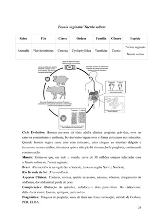 29
Taenia saginata/ Taenia solium
Ciclo Evolutivo: Homem portador da tênia adulta elimina proglotes grávidas, ovos no
exterior contaminam o ambiente, bovino/suíno ingere ovos e forma cisticercos nos músculos.
Quando homem ingere carne crua com cisticerco, estes chegam ao intestino delgado e
tornam-se vermes adultos, três meses após a infecção há eliminação de proglotes, continuando
contaminação.
Mundo: Estima-se que, em todo o mundo, cerca de 50 milhões estejam infectadas com
a Taenia solium ou Taenia saginata.
Brasil: Alta incidência na região Sul e Sudeste, baixa na região Norte e Nordeste.
Rio Grande do Sul: Alta incidência.
Aspectos Clínicos: Tonturas, astenia, apetite excessivo, náuseas, vômitos, alargamento do
abdômen, dor abdominal, perda de peso.
Complicações: Obstrução do apêndice, colédoco e duto pancreático. Da cisticercose:
deficiência visual, loucura, epilepsia, entre outros.
Diagnóstico: Pesquisa de proglotes, ovos de tênia nas fezes, tamisação, método de Graham,
PCR, ELISA.
Reino Filo Classe Ordem Família Gênero Espécie
Animalia Platyhelminthes Cestoda Cyclophyllidea Taeniidae Taenia
Taenia saginata
Taenia solium
 