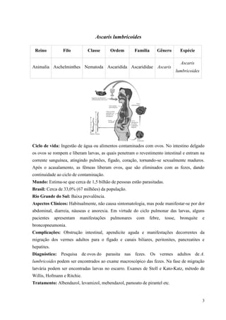 3
Ascaris lumbricoides
Ciclo de vida: Ingestão de água ou alimentos contaminados com ovos. No intestino delgado
os ovos se rompem e liberam larvas, as quais penetram o revestimento intestinal e entram na
corrente sanguínea, atingindo pulmões, fígado, coração, tornando-se sexualmente maduros.
Após o acasalamento, as fêmeas liberam ovos, que são eliminados com as fezes, dando
continuidade ao ciclo de contaminação.
Mundo: Estima-se que cerca de 1,5 bilhão de pessoas estão parasitadas.
Brasil: Cerca de 33,0% (67 milhões) da população.
Rio Grande do Sul: Baixa prevalência.
Aspectos Clínicos: Habitualmente, não causa sintomatologia, mas pode manifestar-se por dor
abdominal, diarreia, náuseas e anorexia. Em virtude do ciclo pulmonar das larvas, alguns
pacientes apresentam manifestações pulmonares com febre, tosse, bronquite e
broncopneumonia.
Complicações: Obstrução intestinal, apendicite aguda e manifestações decorrentes da
migração dos vermes adultos para o fígado e canais biliares, peritonites, pancreatites e
hepatites.
Diagnóstico: Pesquisa de ovos do parasita nas fezes. Os vermes adultos de A.
lumbricoides podem ser encontrados ao exame macroscópico das fezes. Na fase de migração
larvária podem ser encontradas larvas no escarro. Exames de Stoll e Kato-Katz, método de
Willis, Hofmann e Ritchie.
Tratamento: Albendazol, levamizol, mebendazol, pamoato de pirantel etc.
Reino Filo Classe Ordem Família Gênero Espécie
Animalia Aschelminthes Nematoda Ascaridida Ascarididae Ascaris
Ascaris
lumbricoides
 